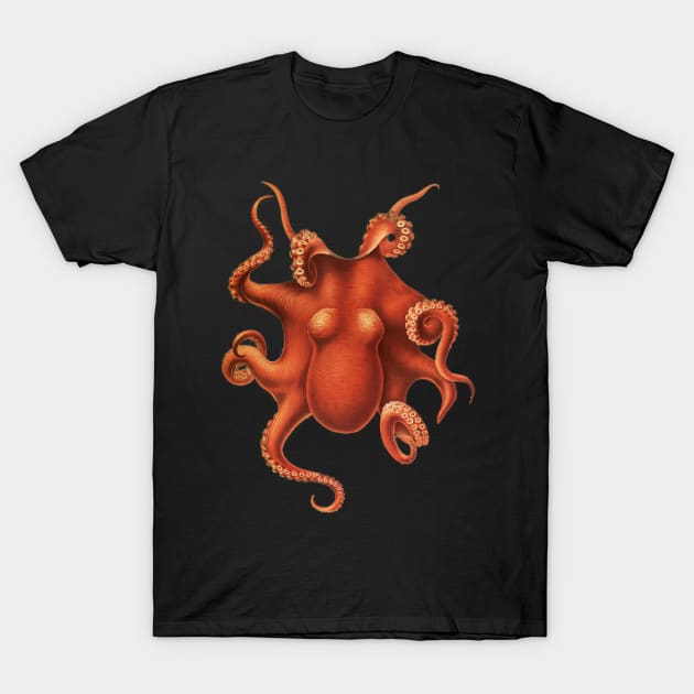 Deep Sea Octopus Vintage Marine Biology Natural History T-Shirt by MoPaws